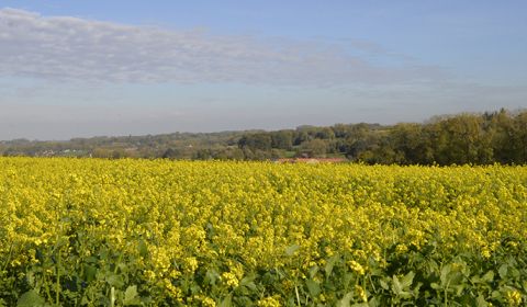 Vlaamse Ardennen