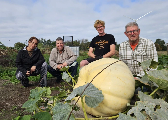 De reuzenpompoen van de Huysmanhoeve.