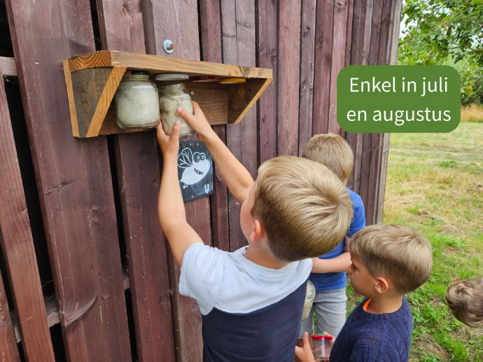 Kind vond de schat van Vlieg