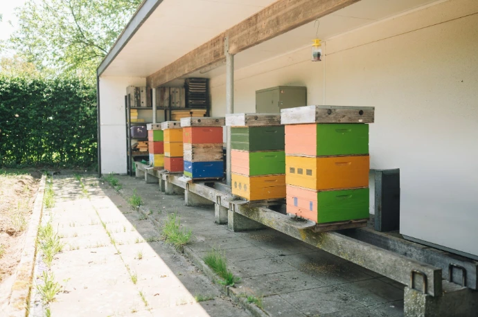 bijenkasten, fotograaf Serjan Midili