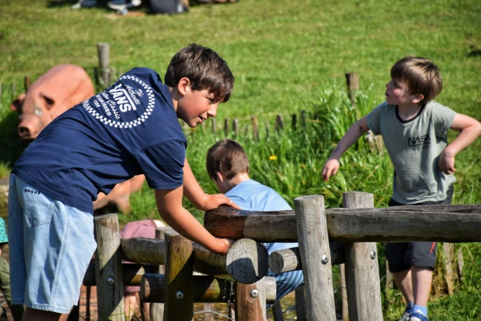 Kinderen amuseren zich in de speeltuin