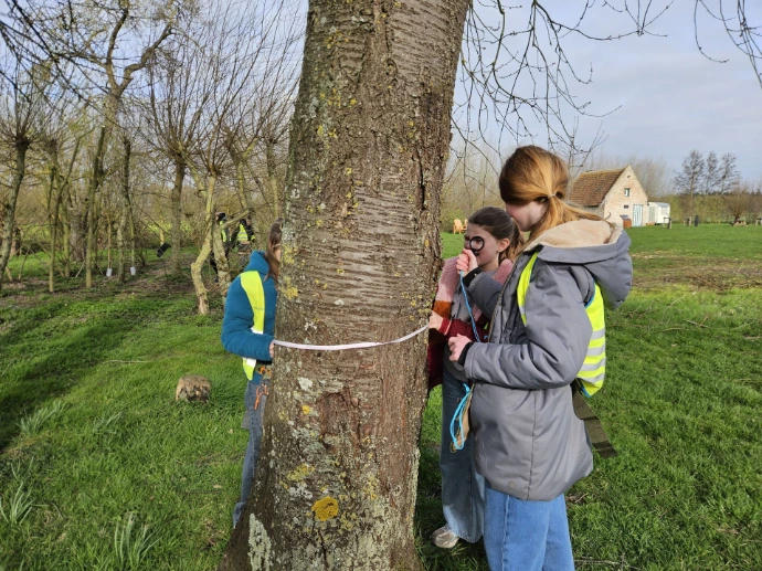 Groepje kinderen meten de omtrek van de boomstam