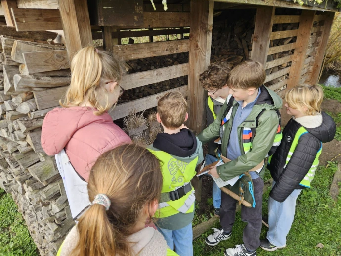 Zes kinderen bestuderen het hout