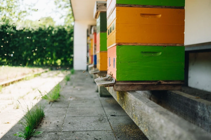 Bijenkastjes