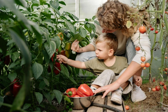 vrouw en kind plukken paprika's, foto Pexels