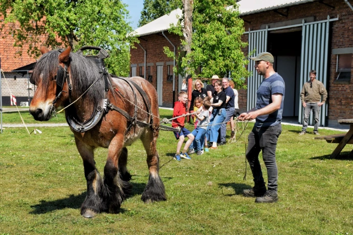 Bezoekers trekken aan een touw dat aan een trekpaard hangt.