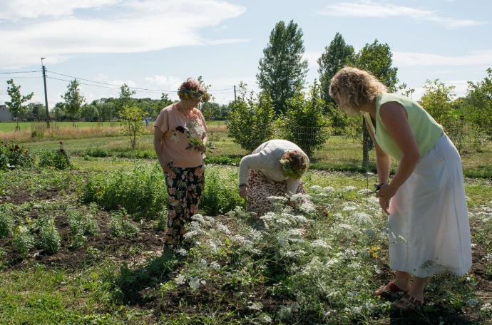 vrouwen plukken bloemen op het veld