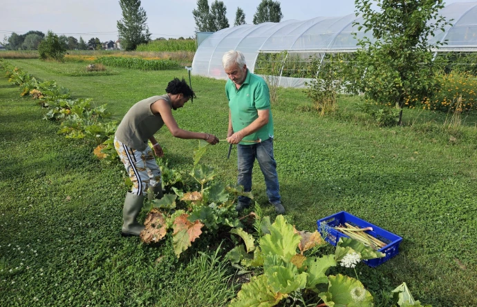Vrijwilligers op het veld