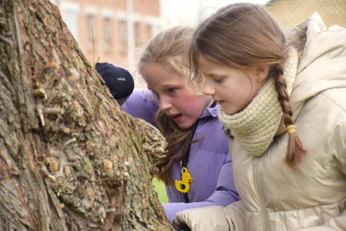 Kinderen bestuderen een boom, foto Bert Langaskens