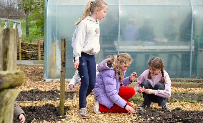 kinderen werken op het veld, foto Bert Langaskens